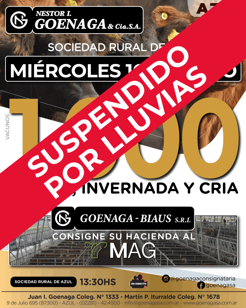 Banner Los Tigres